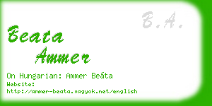 beata ammer business card